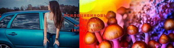 MDMA Богородицк