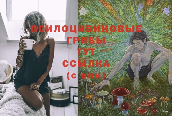 а пвп мука Богородск