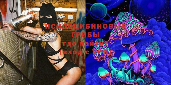 MDMA Богородицк