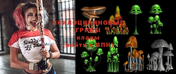 индика Бородино