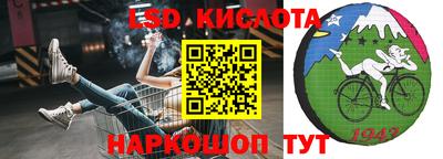 молекула духа Камышлов