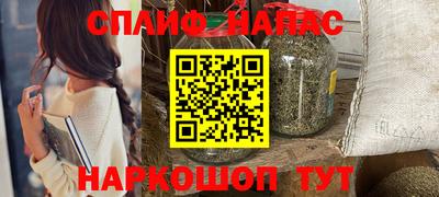 молекула духа Камышлов